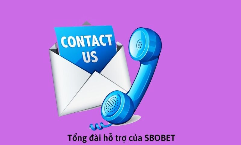 Liên hệ nhà cái Sbobet thông qua hotline